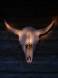 A Buffalo skull on an outside wall of the Dirty Creek Saloon IMG_1332 Slide #00000-00000