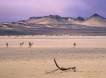 Garnet sand forms black streaks in the Namib Desert landscape Slide #00000-00000