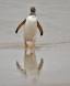 Gentoo Penguin and reflection just emerging from the ocean 0R7E1463 Slide #00000-00000