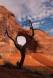 Monument Valley scenic-a tree frames a hole in a sandstone rock IMG_8621 Slide #00000-00000