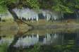 Stained rocks and their reflections CGS14711 Slide #00000-00000
