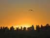 Sunset on a Gentoo Penguin rookery 0R7E2479 Slide #00000-00000