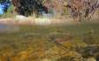 Brook Trout over and under DSC_8052ab Slide #00000-00000